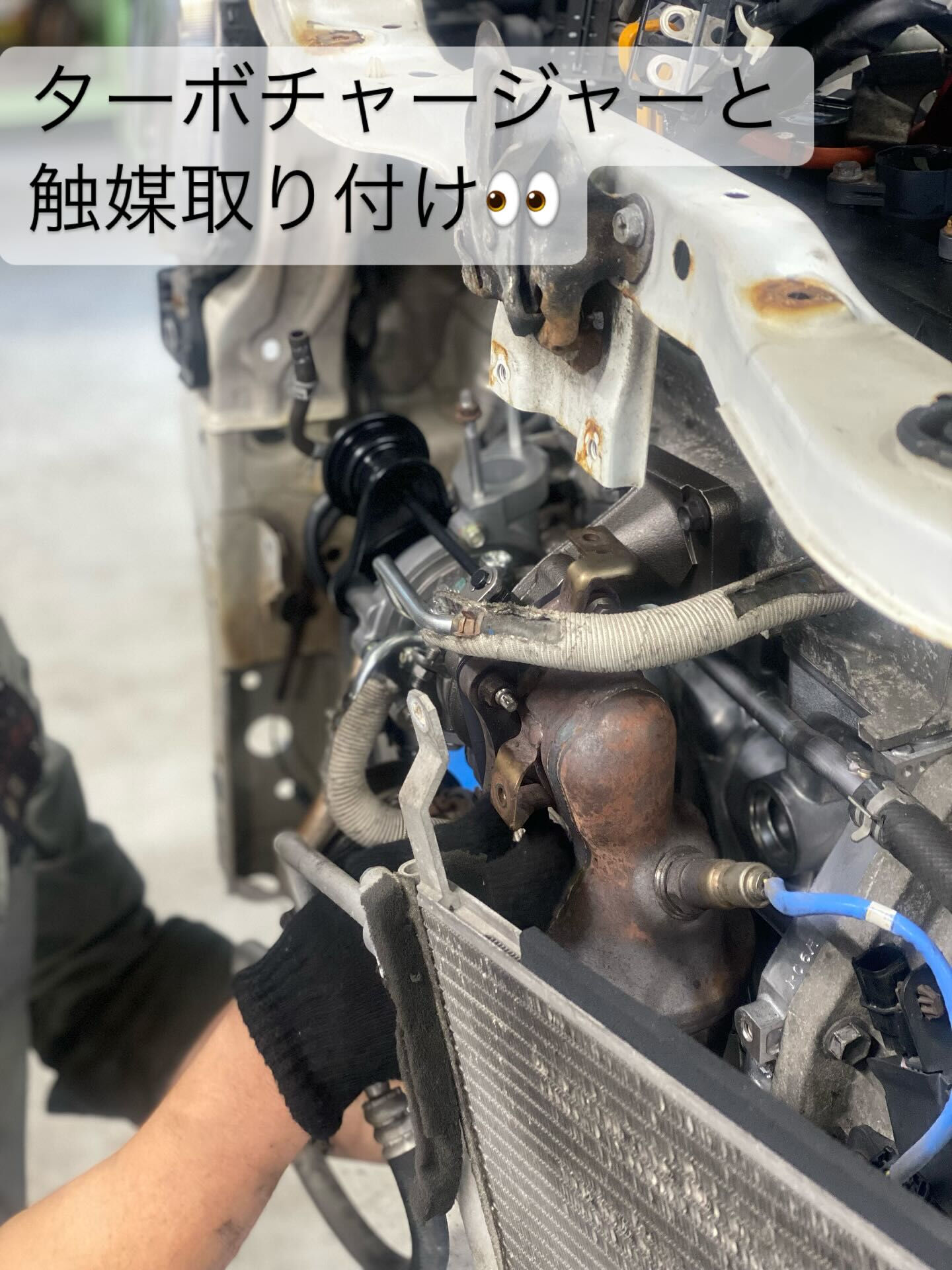 エンジン組み立て→載せ替え　🍒part3🍒