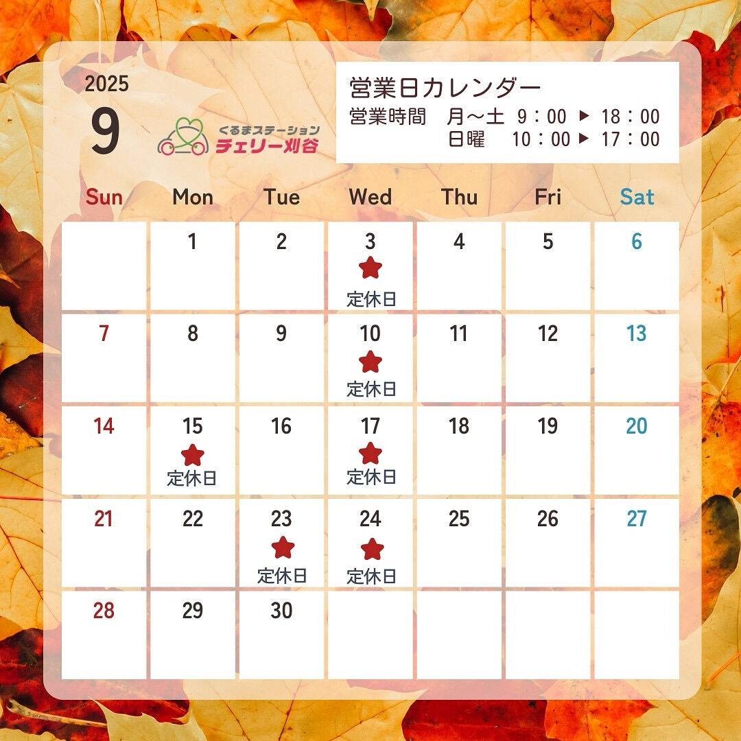 こんにちは🍁