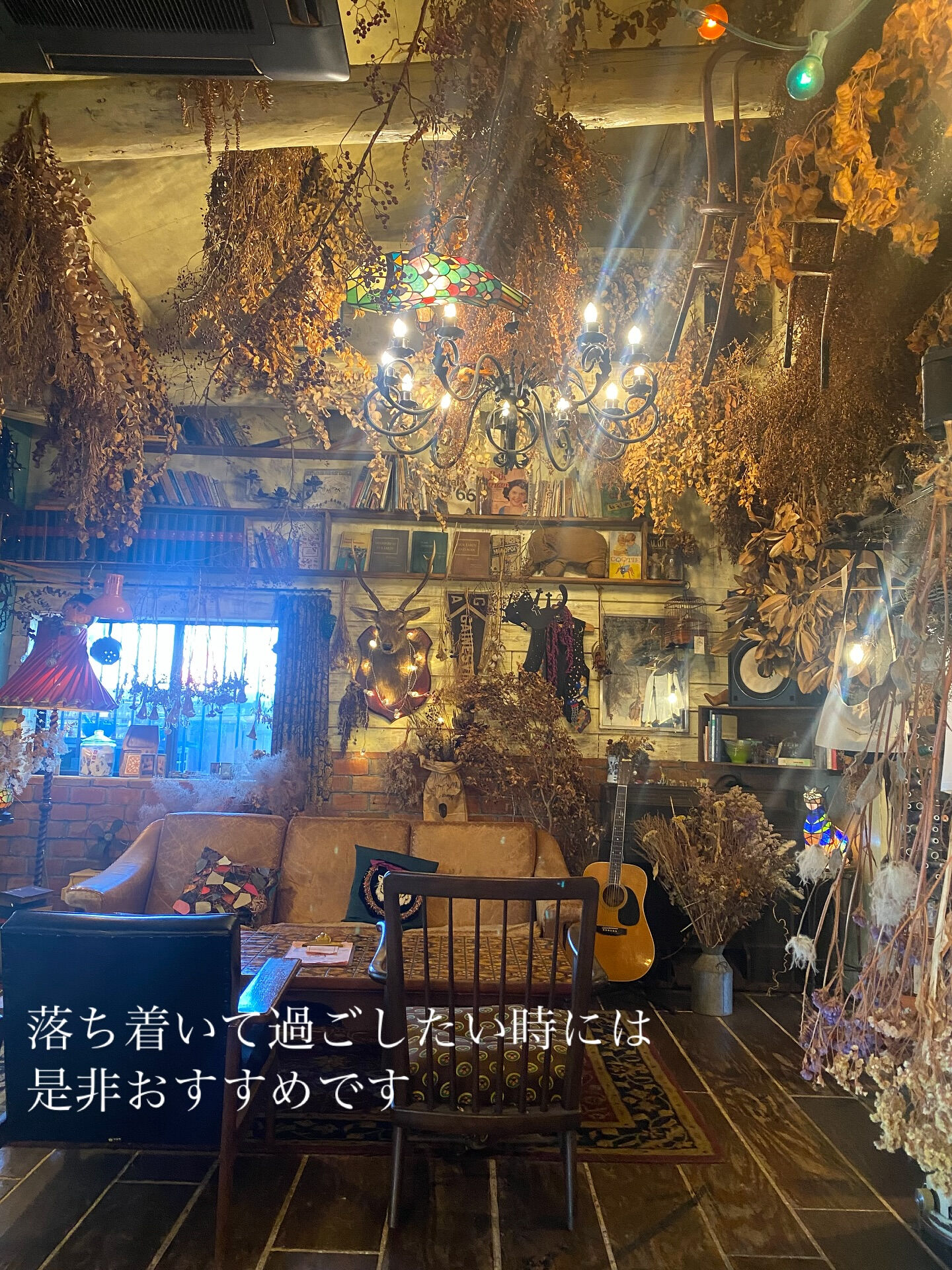 今日はコーヒー専門店のご紹介です☕️