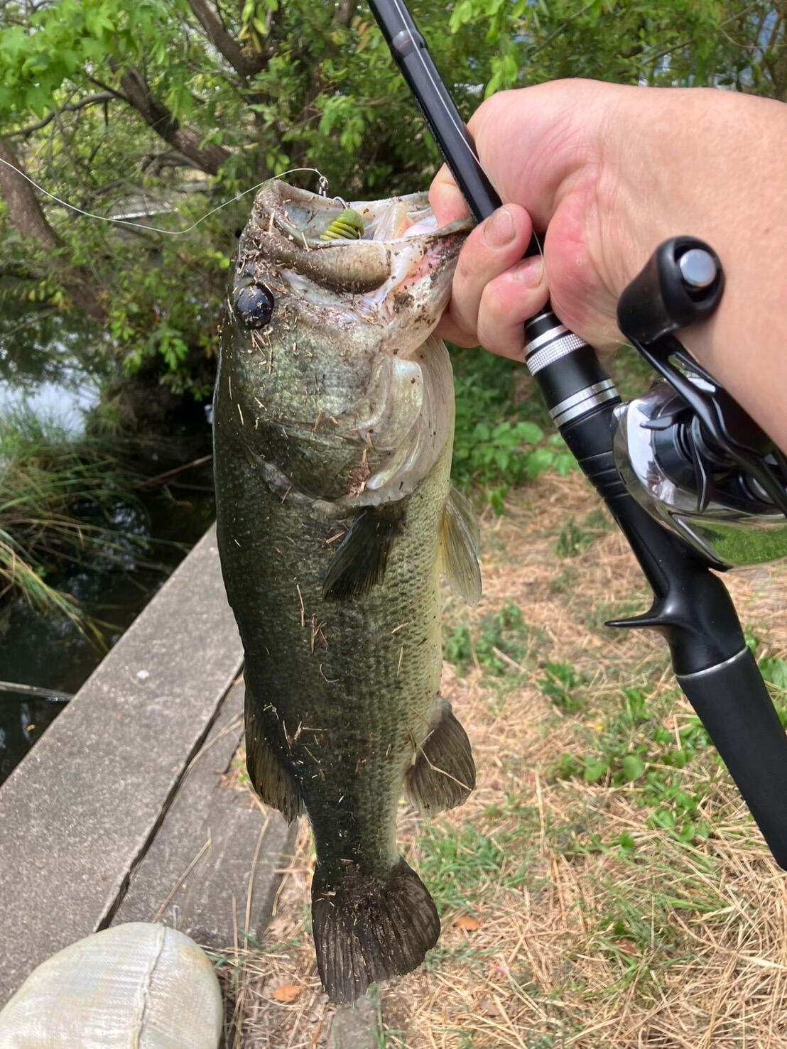 🐟工場長の休日🐟